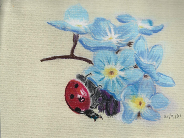 Ladybird on blue flowers