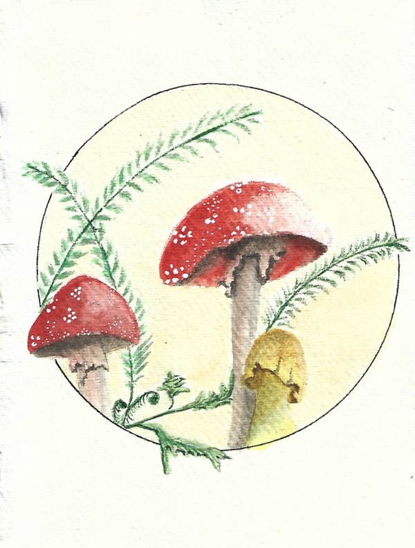 Mushrooms